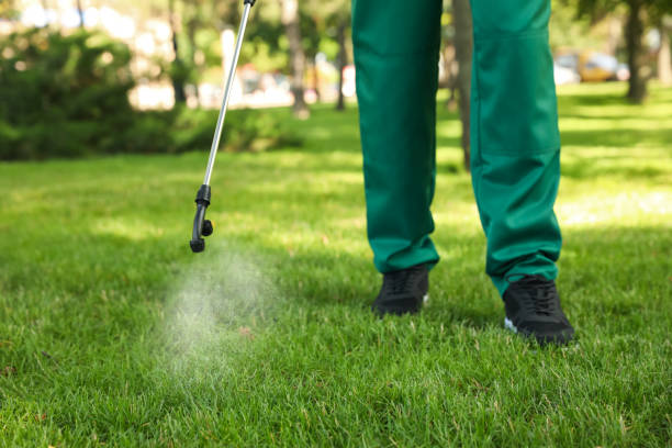 Best Wasp Removal Services  in Gloucester Point, VA