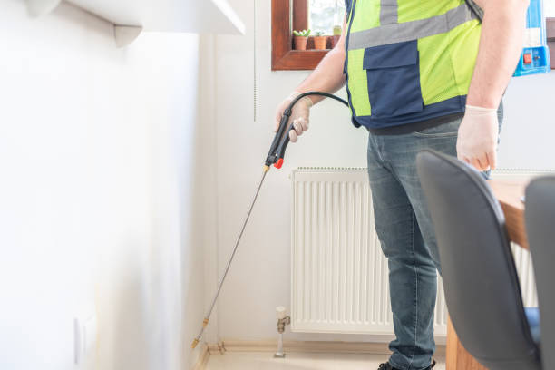 Best Termite Control Services  in Gloucester Point, VA